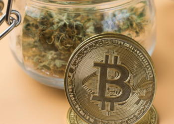 The Importance of Cryptocurrency for the Cannabis Industry