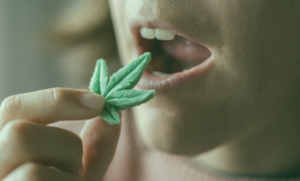 How THC Gummies Use Impacts Long-Term Health