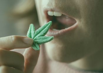 How THC Gummies Use Impacts Long-Term Health