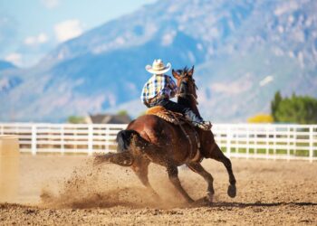 How Technology Has Impacted Horse Racing