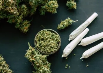 Colorado’s Cannabis Frontier: From Laws to Doorstep Delivery