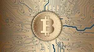 Common Risks When Investing in Crypto and How to Avoid Them